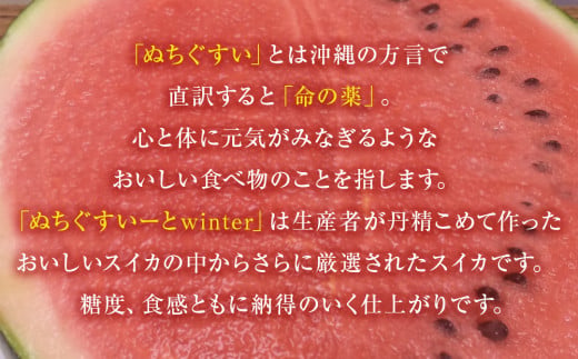 先行予約【JAおきなわ】厳選すいか！ぬちぐすいーとwinter　【2026年1月～2月頃発送】