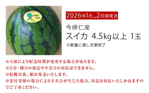 先行予約【JAおきなわ】厳選すいか！ぬちぐすいーとwinter　【2026年1月～2月頃発送】