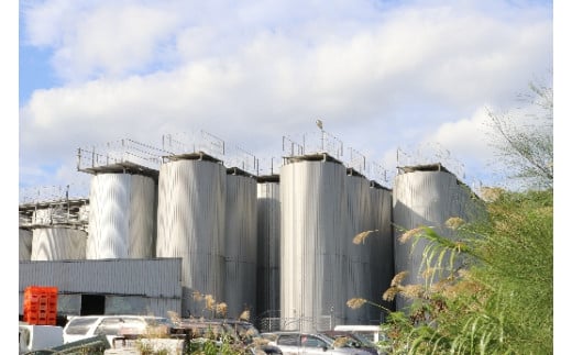 琉球泡盛 今帰仁の銘酒 飲み比べセット