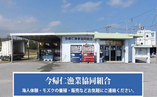 今帰仁産　天然シャコ貝　食べきり2パック