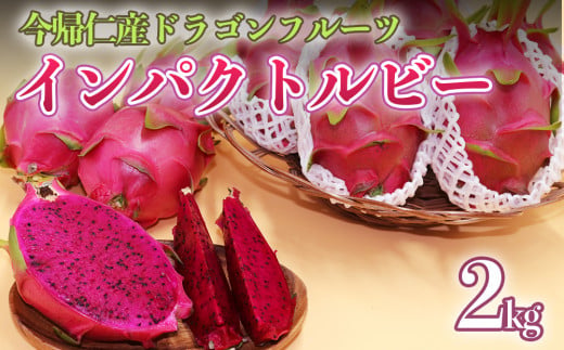 【限定50個】今帰仁産ドラゴンフルーツ「インパクトルビー」2kg【2026年8月～9月頃配送】
