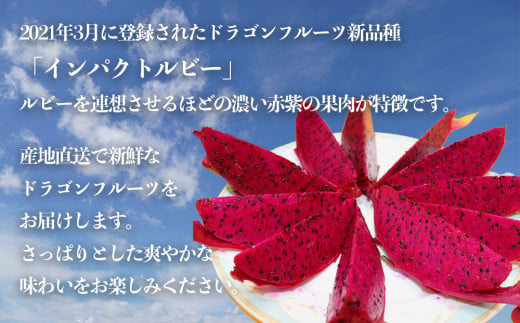 【限定50個】今帰仁産ドラゴンフルーツ「インパクトルビー」2kg【2026年8月～9月頃配送】