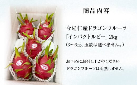 【限定50個】今帰仁産ドラゴンフルーツ「インパクトルビー」2kg【2026年8月～9月頃配送】