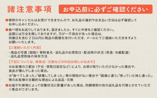 【限定50箱】比嘉さん家の千なりマンゴー(特選・1kg)【2026年6月下旬～7月頃に発送】