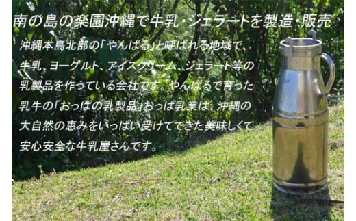 おっぱのおきなわンじぇら～と　お楽しみセット(6個)