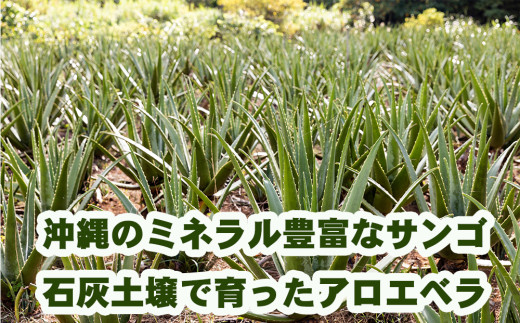 琉球アロエの有機アロエベラ・ドリンク  パウチタイプ３個セット