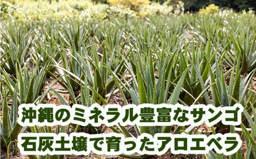 琉球アロエの有機アロエベラ・ドリンク  パウチタイプ６個セット
