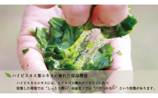 ハイビスカス　シャンプー