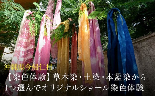 【染色体験】草木染・土染・本藍染から1つ選んでオリジナルショール染色体験　1名様