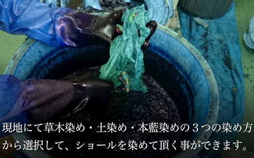 【染色体験】草木染・土染・本藍染から1つ選んでオリジナルショール染色体験　1名様
