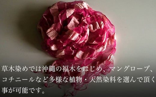 【染色体験】草木染・土染・本藍染から1つ選んでオリジナルショール染色体験　1名様