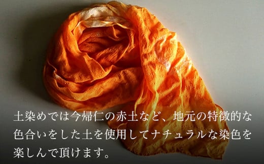 【染色体験】草木染・土染・本藍染から1つ選んでオリジナルショール染色体験　1名様