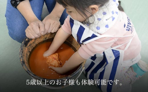 【染色体験】草木染・土染・本藍染から1つ選んでオリジナルショール染色体験　1名様