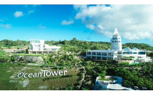 古宇利オーシャンタワーペア入場券+食事券5000円分