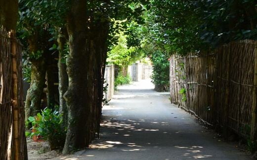 【Eバイクガイドツアー】運転ラクラク！今帰仁の秘密の絶景や沖縄の原風景を探しに行こう！！