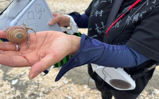【Eバイクガイドツアー】運転ラクラク！今帰仁の秘密の絶景や沖縄の原風景を探しに行こう！！