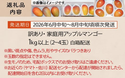 【訳あり・家庭用】【生産者応援】限定500セット　今帰仁アップルマンゴー1kg以上(白箱）【2026年6月中旬～8月中旬頃発送】