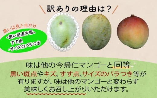 【訳あり　限定500セット】【生産者応援】緑のキーツマンゴー1kg以上（白箱）【2026年8月～9月頃発送】【生産者応援】