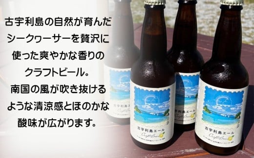クラフトビール「古宇利島エール」4本セット