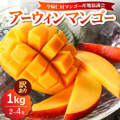 【2026年6月下旬から順次発送・訳あり】今帰仁産のアップルマンゴー1kg(2〜4玉)【配送不可地域：離島】【4014742】