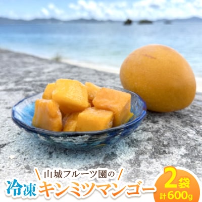 今帰仁産 山城フルーツ園の冷凍キンミツマンゴー 600g(300g×2パック)【配送不可地域：離島】【1662751】