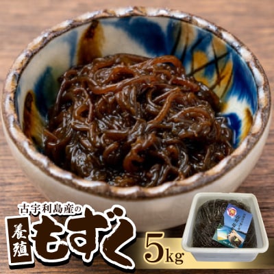 古宇利島産の養殖もずく5.0kg【配送不可地域：離島】【1483943】