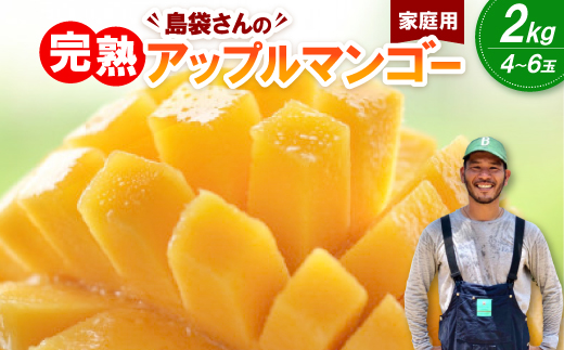 【2026年7月上旬から順次発送・家庭用】島袋さんの完熟アップルマンゴー 2kg(4〜6玉)【配送不可地域：離島】【1726289】