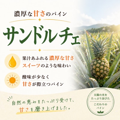 【2026年8月上旬から順次発送】今帰仁村パイン産地協議会 サンドルチェ2.0kg(2〜3玉)【配送不可地域：離島】【1734541】