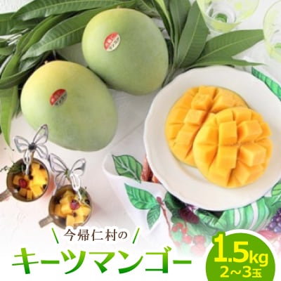 【2026年9月から順次発送・家庭用】山城フルーツ園の幻キーツマンゴー1.5kg(2〜3玉)【配送不可地域：離島】【1593007】