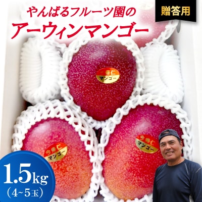 【2026年6月から順次発送・贈答用】やんばるフルーツ園のアーウィンマンゴー1.5kg(4〜5玉)【配送不可地域：離島】【1696061】