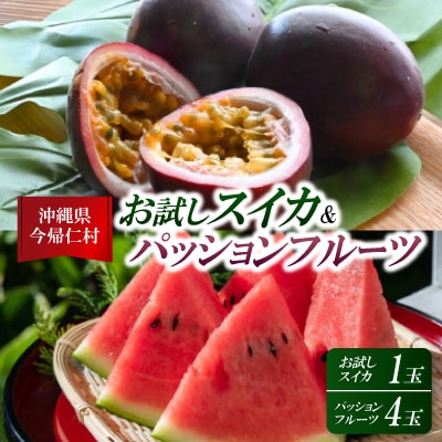 【2026年6月上旬から順次発送】今帰仁村のお試しスイカ1玉&パッションフルーツ4玉【配送不可地域：離島】【1702338】