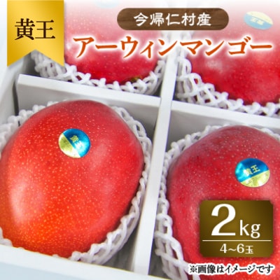 【先行受付・2026年6月から順次発送】山城フルーツ園のアーウィンマンゴー黄王2kg【配送不可地域：離島】【1441540】