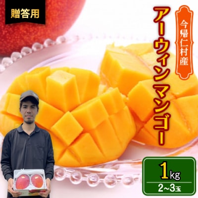 【2026年6月から順次発送・贈答用】仲本マンゴー園のアーウィンマンゴー1kg(2〜3玉)【配送不可地域：離島】【1439419】