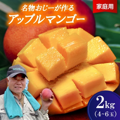 【2026年7月から順次発送・家庭用】名物おじーが作るアップルマンゴー2kg(4〜6玉)【配送不可地域：離島】【1694654】