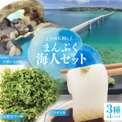 まんぷく海人セット(天然シャコ貝、天然生アーサ、ソデイカ)【配送不可地域：離島】【1483969】