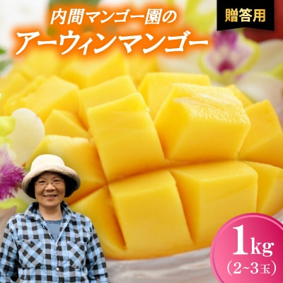【2026年7月から順次発送・贈答用】内間マンゴー園のアーウィンマンゴー1kg(2〜3玉)【配送不可地域：離島】【1695325】