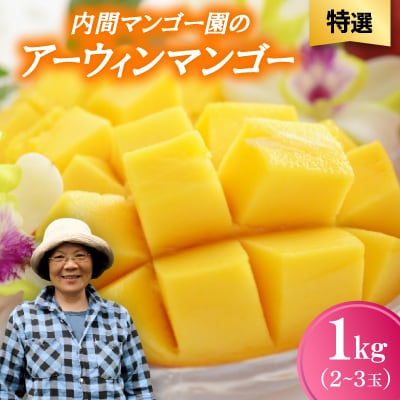 【2026年7月から順次発送・特選】内間マンゴー園のアーウィンマンゴー1kg(2〜3玉)【配送不可地域：離島】【1695327】
