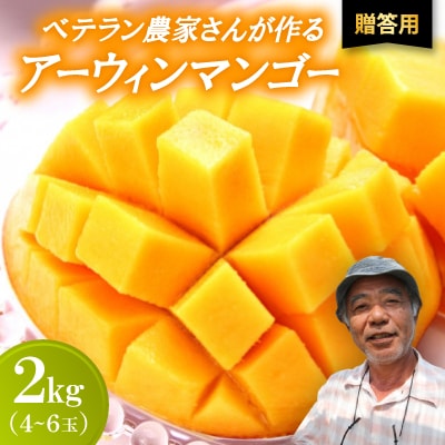 【2026年7月から順次発送・贈答用】ベテラン農家さんが作る アーウィンマンゴー2kg(4〜6玉)【配送不可地域：離島】【1695286】
