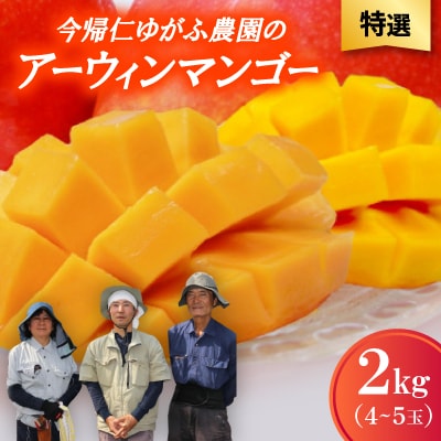【2026年7月から順次発送・特選】今帰仁ゆがふ農園のアーウィンマンゴー2kg(4〜5玉)【配送不可地域：離島】【1694716】
