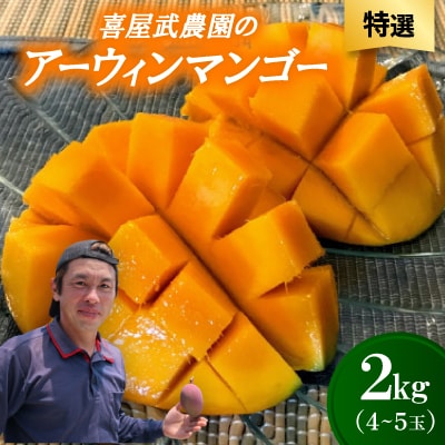 【先行受付・2026年6月から順次発送・特選】喜屋武農園のアーウィンマンゴー2kg(4〜5玉)【配送不可地域：離島】【1694607】