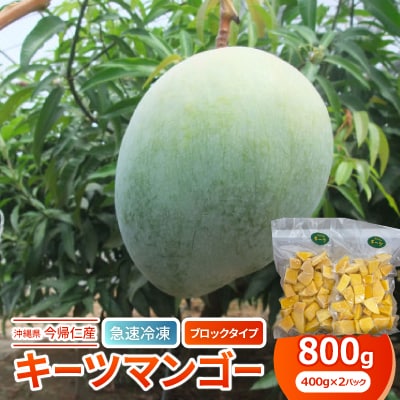 【急速冷凍・ブロックタイプ】今帰仁産キーツマンゴー800g(400g×2パック)【配送不可地域：離島】【1483934】