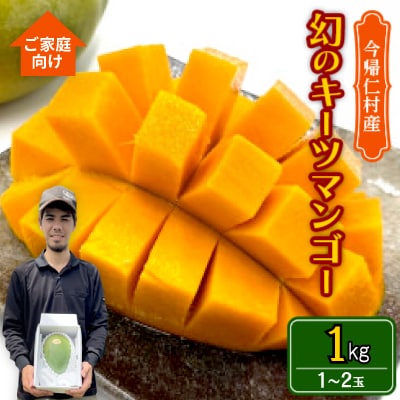 【先行受付・2026年8月から順次発送・家庭用】仲本マンゴー園の幻のキーツマンゴー1kg(1〜2玉)【配送不可地域：離島】【1694611】
