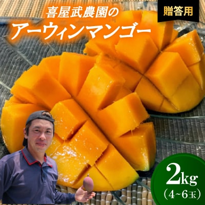 【先行受付・2026年6月から順次発送・贈答用】喜屋武農園のアーウィンマンゴー2kg(4〜6玉)【配送不可地域：離島】【1372134】
