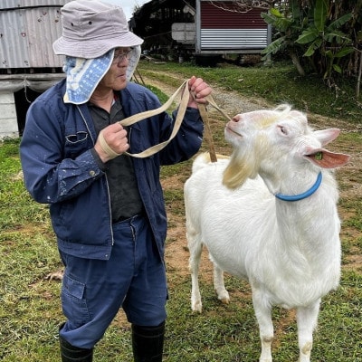 今帰仁生まれの「美らヤギ」刺し身2パック 山羊汁2パック【配送不可地域：離島】【1504567】