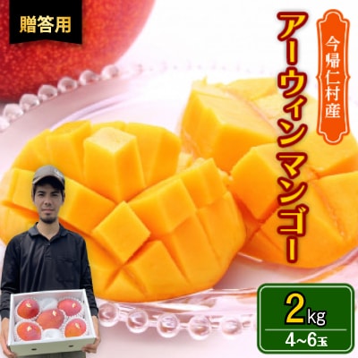 【2026年6月から順次発送・贈答用】仲本マンゴー園のアーウィンマンゴー2kg(4〜6玉)【配送不可地域：離島】【1439421】