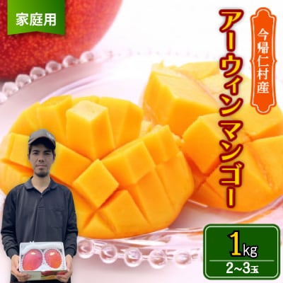 【2026年6月から順次発送・家庭用】仲本マンゴー園のアーウィンマンゴー1kg(2〜3玉)【配送不可地域：離島】【1439395】
