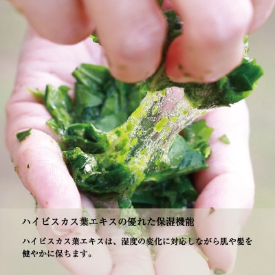 ハイビスカス ヘアシャンプー【1392807】