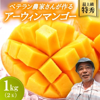 【2026年7月から順次発送・最上級特秀】名匠・比嘉峯夫さんが育てる アップルマンゴー1kg(2玉)【配送不可地域：離島】【1695305】