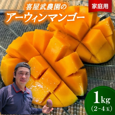 【先行受付・2026年6月から順次発送・家庭用】喜屋武農園のアーウィンマンゴー1kg(2〜4玉)【配送不可地域：離島】【1439647】
