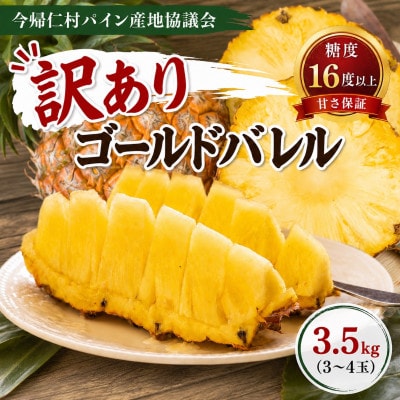 【2026年6月下旬から順次発送】今帰仁村パイン産地協議会 ゴールドバレル3.5kg(3〜4玉)【配送不可地域：離島】【1737652】
